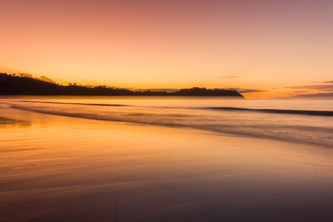 Taste of Waiheke Food and Wine Tour - How the day feels from the coach