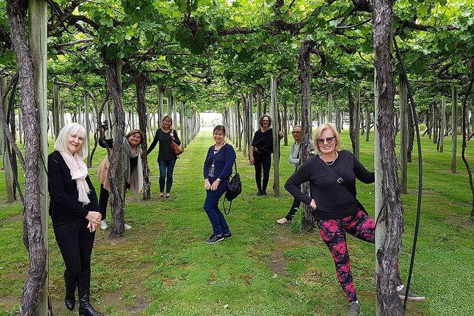 Taste the Valley Wine Tour in Marlborough with Wine Tasting - What the €90.05 price really covers