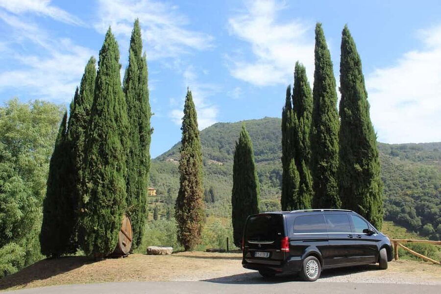 Tasting in a Tuscan Vineyard with transfer from Pisa - A vineyard visit built around people, not polished showrooms
