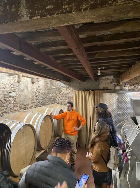 Tasting in a Tuscan Vineyard with transfer from Pisa - Inside the cellar, where the family story takes shape