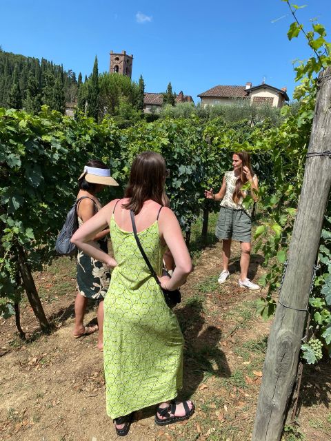 Tasting in a Tuscan Vineyard with transfer from Pisa - What the guides add to the experience