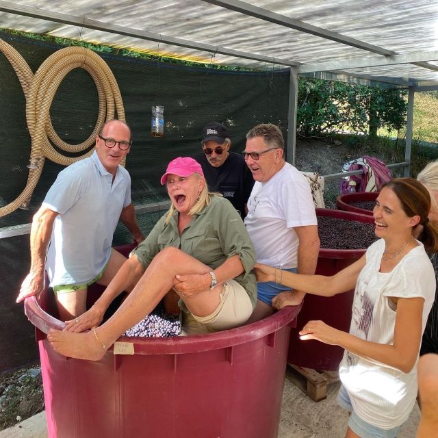 Tasting in a Tuscan Vineyard with transfer from Pisa - Walking among the vines in the Lucca hills
