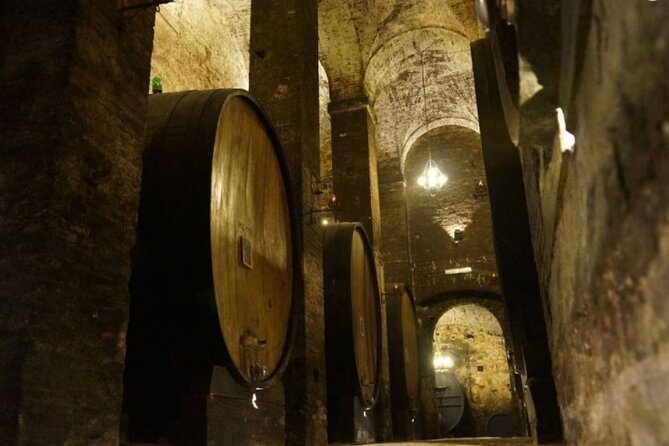 Tasting Tour in One of The Most Beautiful Cellars in the World - Walking past Slavonian oak and French oak barrels
