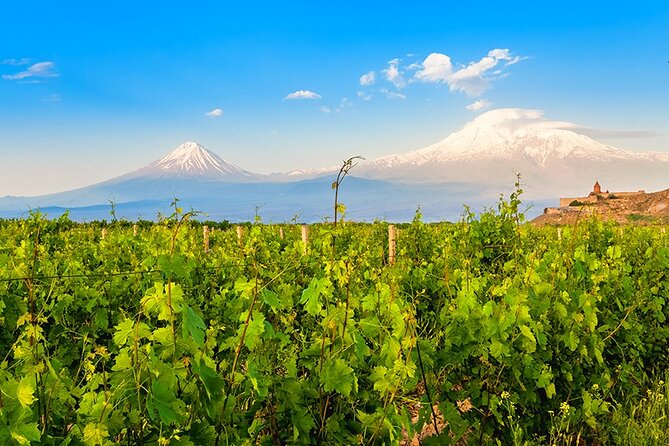 Tatev & Shaki Waterfall Guided Group Tour with Wine Tasting - Areni brings wine, fruit, and local flavor