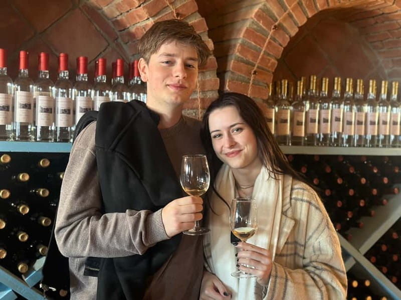 Tbilisi: Kakheti Wine Region Tour with 10 Wine Tastings - Key points at a glance