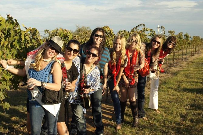 Temecula's Premier Wine Tasting Tour - The party bus shapes the experience