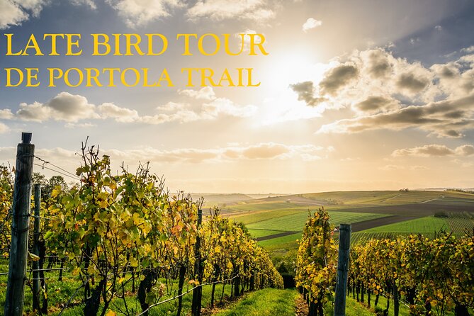 Temecula's Premier Wine Tasting Tour - South Coast Winery sets the tone