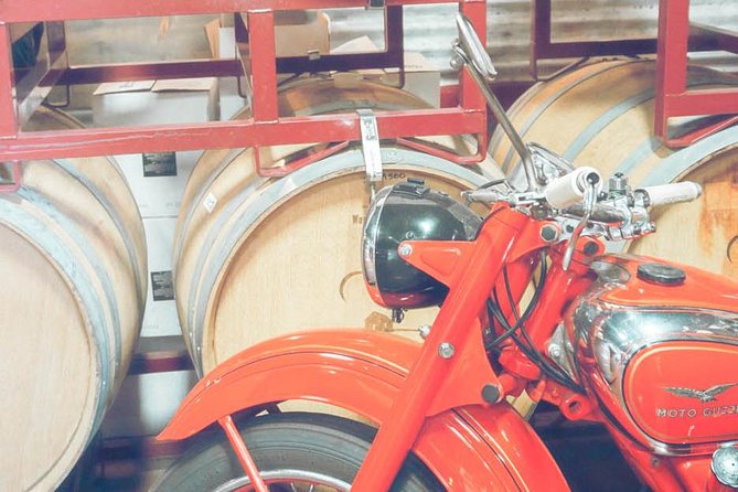 Temecula Valley Wine Tour with Tastings & Lunch Included - Lunch among the vines