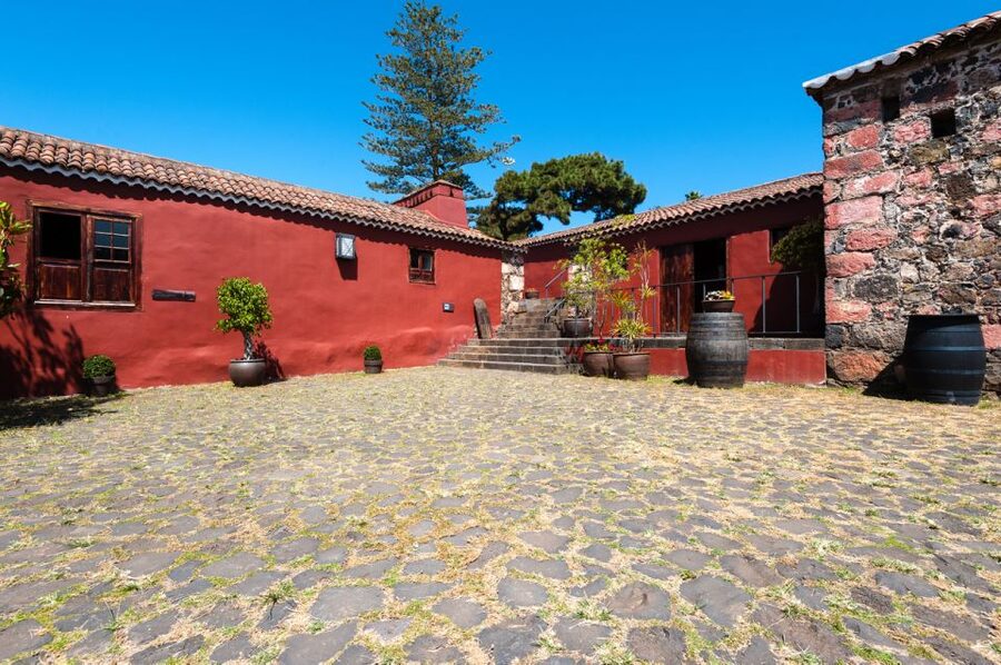 Tenerife: Full-Day Gastronomy and Wine Tour - Casa del Vino and the first taste of island wine
