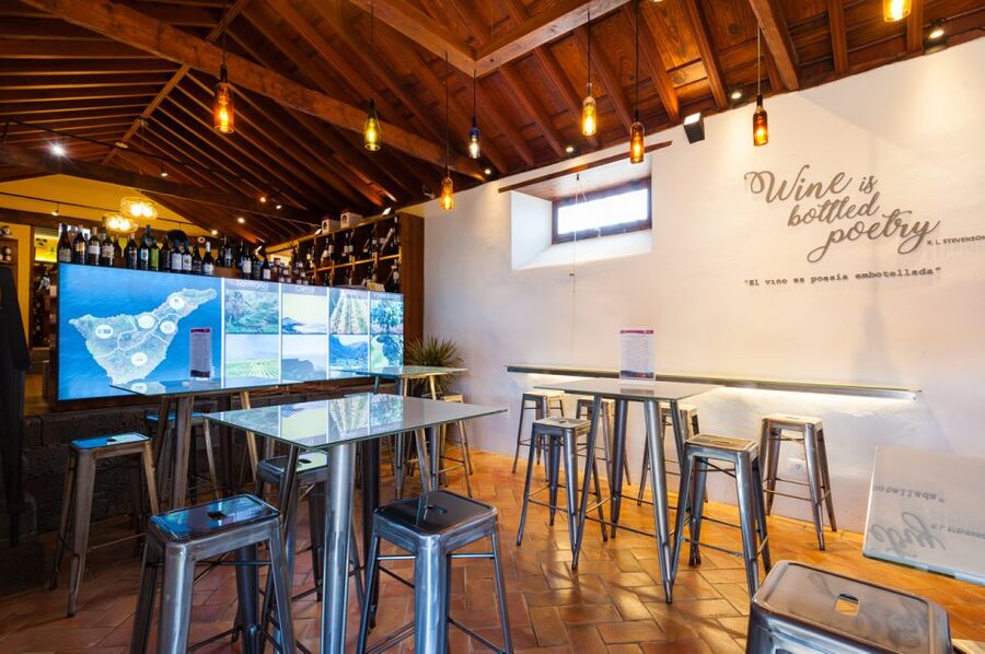 Tenerife: Full-Day Gastronomy and Wine Tour - Bodegas Monje and the meal with a view