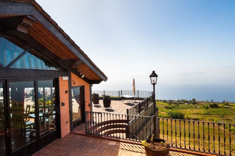 Tenerife: Full-Day Gastronomy and Wine Tour - Who should book this Tenerife wine tour?