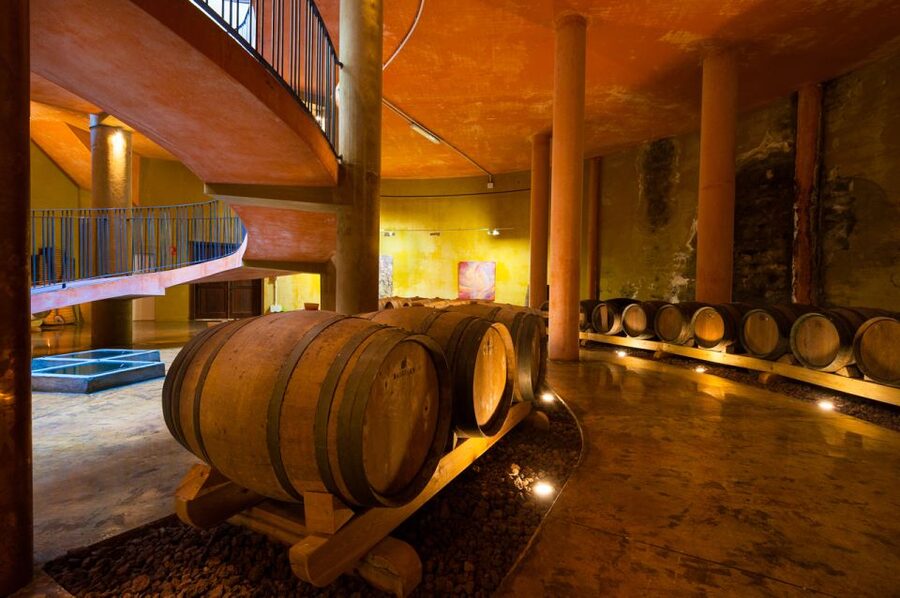 Tenerife: Full-Day Gastronomy and Wine Tour - Small details that make the day easier