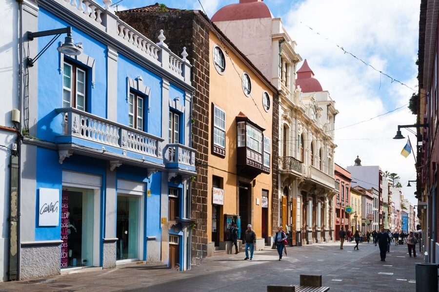 Tenerife: Full-Day Gastronomy and Wine Tour - The long ride north from south Tenerife