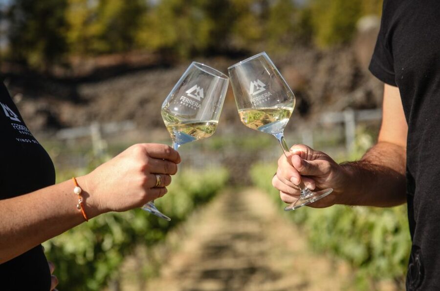 Tenerife: Tour of an Organic Vineyard with Tasting & Snacks - Scenery, weather, and what to wear