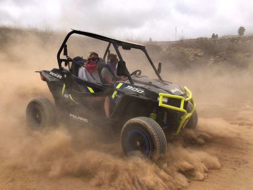 Tenerife: Volcano Teide Buggy Tour with Wine Tasting & Tapas - What this Teide buggy tour is really like