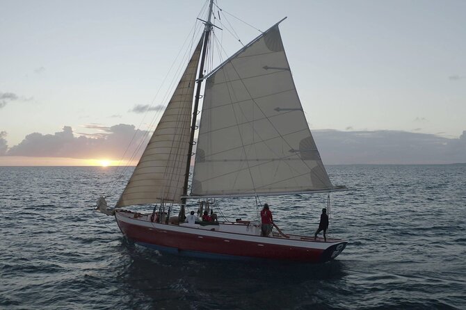 The Best Sunset Sail and Cocktail Hour in Anguilla - Wildlife Watch Along the Anguilla Coast