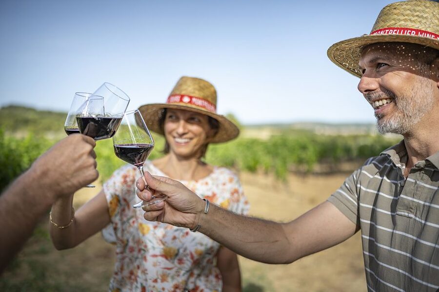 The Châteaux of Grès de Montpellier & Wine Tasting - Should you book the Château de Flaugergues and Puech Haut tour?