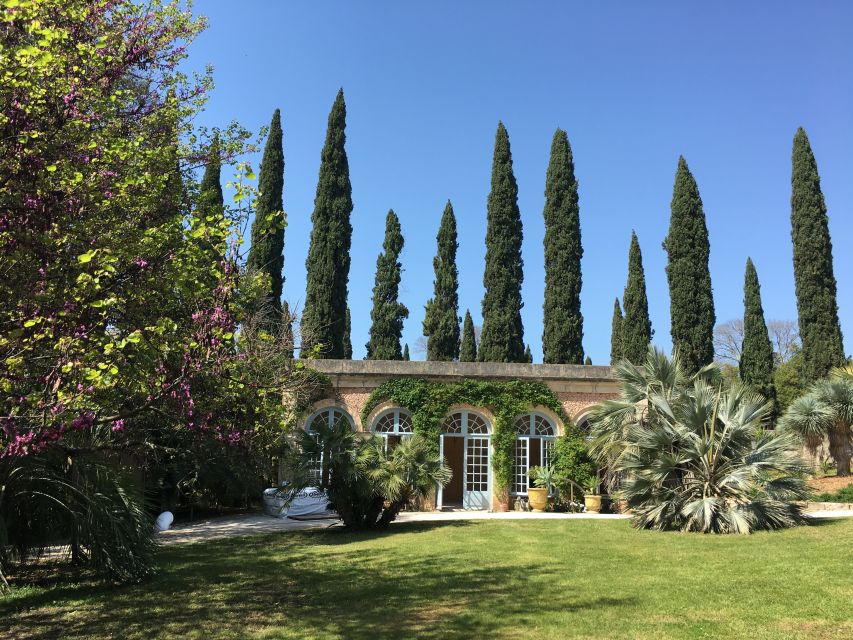 The Châteaux of Grès de Montpellier & Wine Tasting - Puech Haut, vines, olive trees, and painted barrels