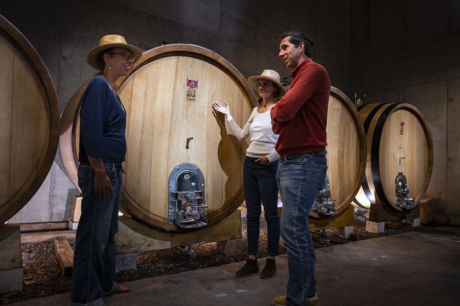 The Châteaux of Grès de Montpellier & Wine Tasting - The guides make the difference
