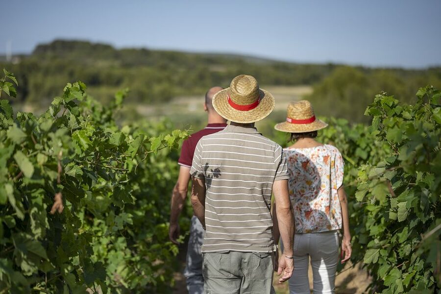 The Châteaux of Grès de Montpellier & Wine Tasting - Booking flexibility and practical value