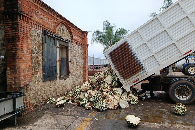 The Fire TOUR - Pyramids, Volcanoes, Agaves & Tequila - Tequila town, with time to explore