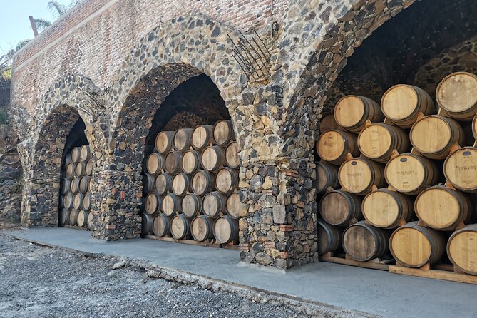 The Fire TOUR - Pyramids, Volcanoes, Agaves & Tequila - Who will enjoy this day most