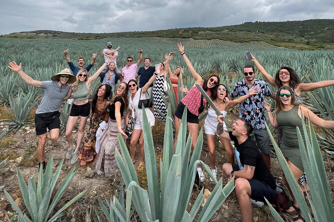 The Mezcal Journey - Agave fields in San Pablo Villa de Mitla