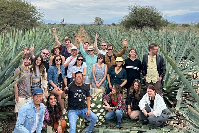 The Mezcal Journey - The long tasting: compare before you buy