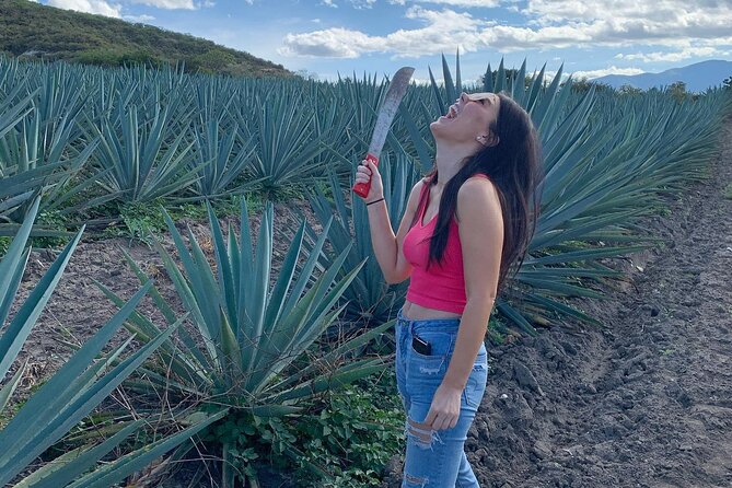 The Mezcal Journey - Doña Chica and a serious Oaxacan lunch