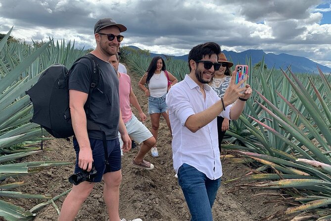 The Mezcal Journey - Guides who shape the day
