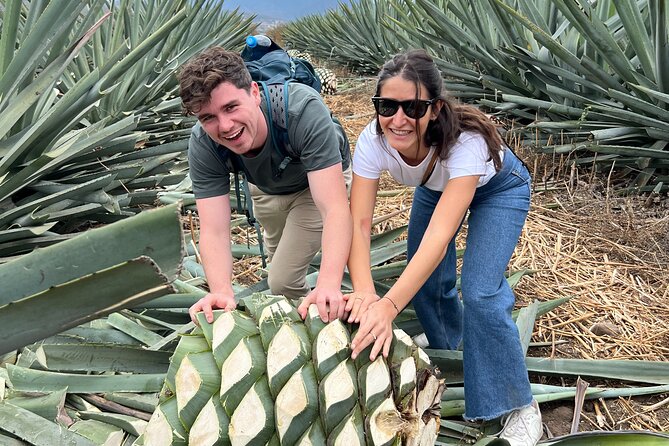 The Mezcal Journey - Is $105.51 a fair price?