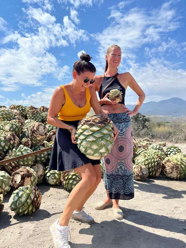The Mezcal Journey - Is $105 a fair price?