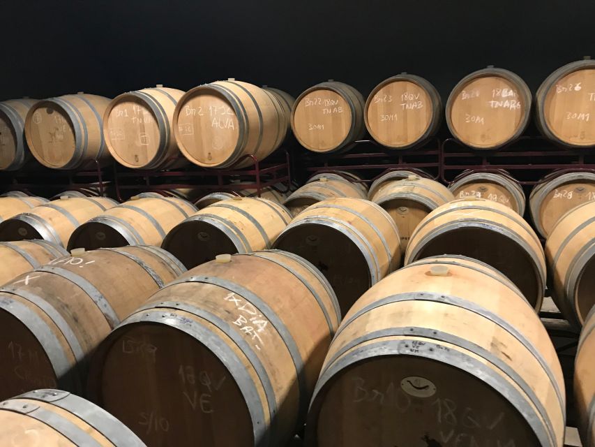 The Real Algarve: 2 Boutique Wineries & Silves Tour - Key points to know before booking