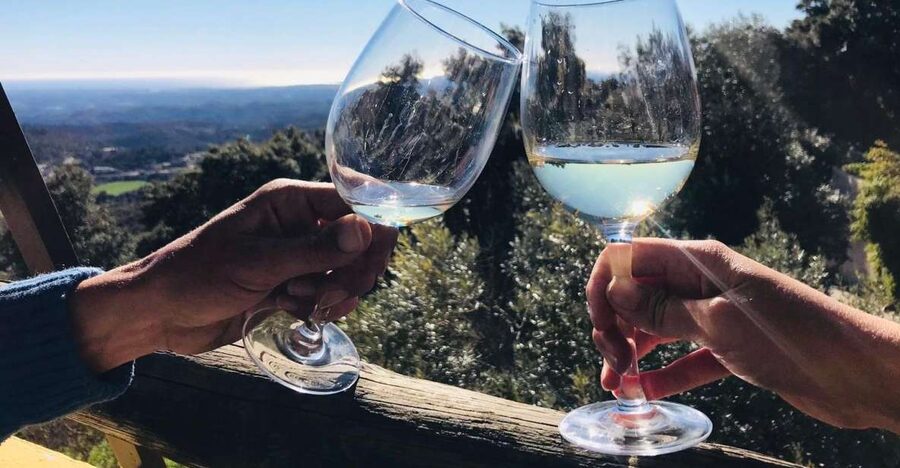 The Real Algarve: 2 Boutique Wineries & Silves Tour - Silves gives you two hours between the vineyards