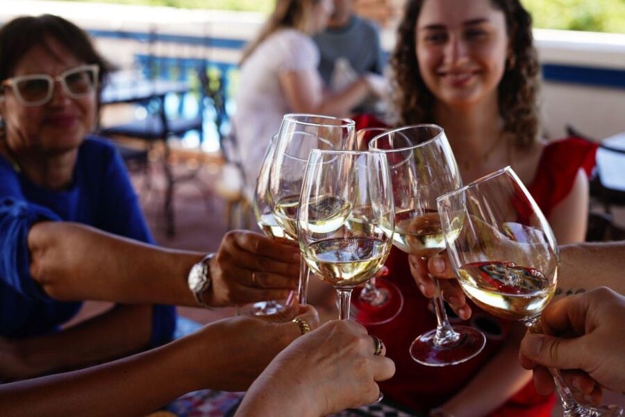 The Real Algarve: 2 Boutique Wineries & Silves Tour - Quinta do Francês brings a different winery experience