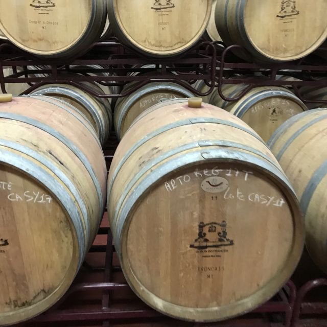 The Real Algarve: 2 Boutique Wineries & Silves Tour - The Lagoa winery starts the day with local character