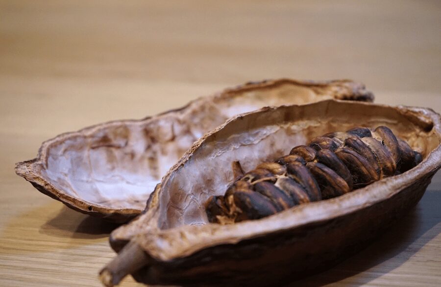 The Turin Chocolate Tasting Experience - Who will enjoy this experience most?