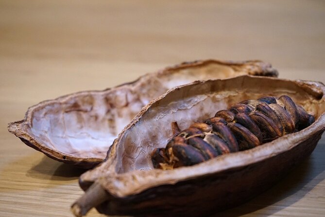 The Turin Chocolate & Wine Tasting Experience - Two Piedmont wines with a proper aperitivo plate