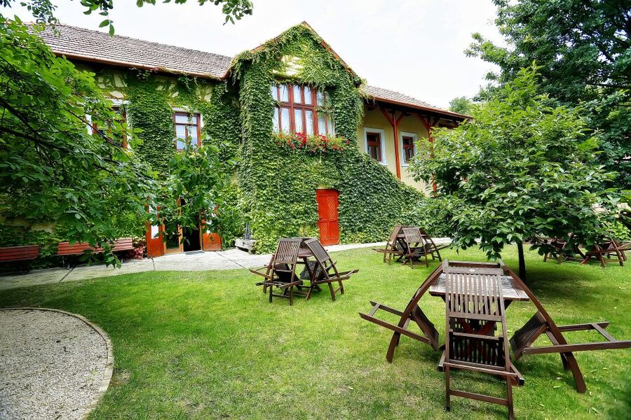 Tokaj: Classic Wine Tasting - Key points to know before booking