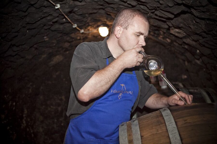 Tokaj: Classic Wine Tasting - Should you book the Hímesudvar tasting?