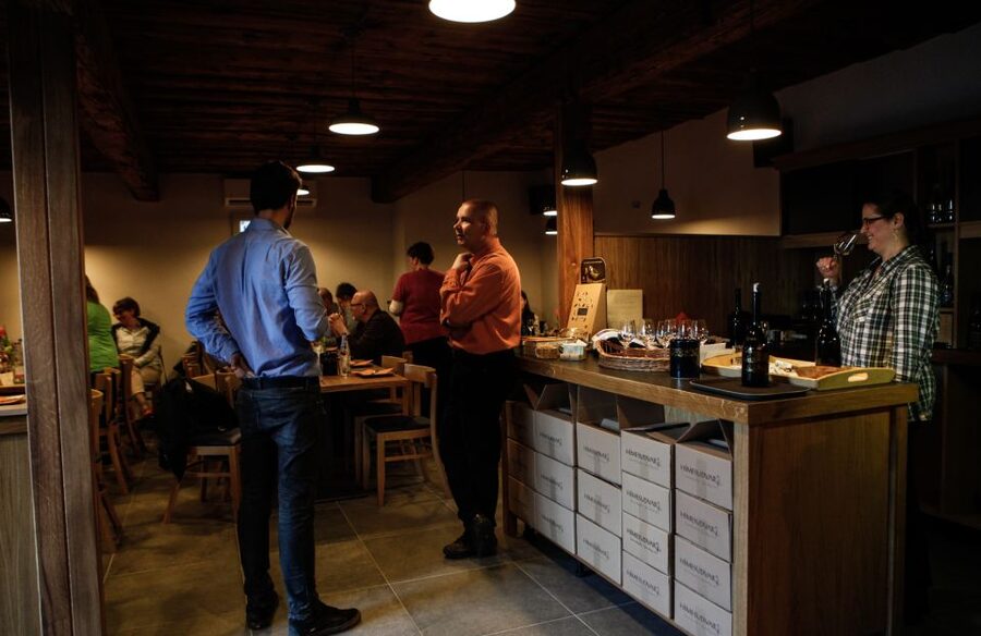 Tokaj: Classic Wine Tasting - What the explanation adds to the visit