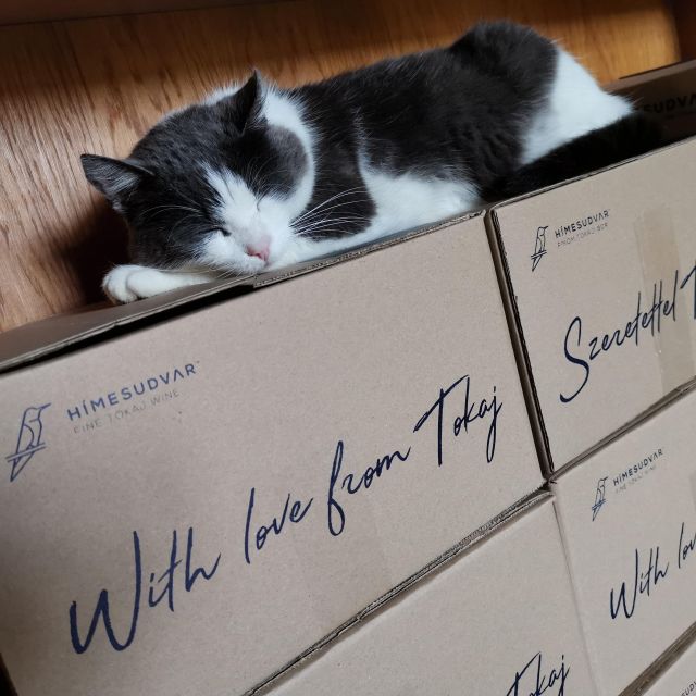 Tokaj: Classic Wine Tasting - Timing, price, and practical value