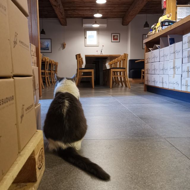 Tokaj: Classic Wine Tasting - Who should book this experience
