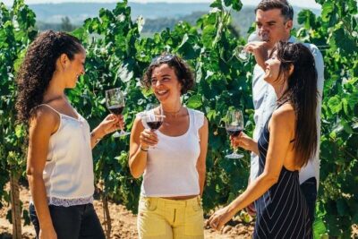 Toledo Tour & Vineyard Walk with Wine Tasting from Madrid