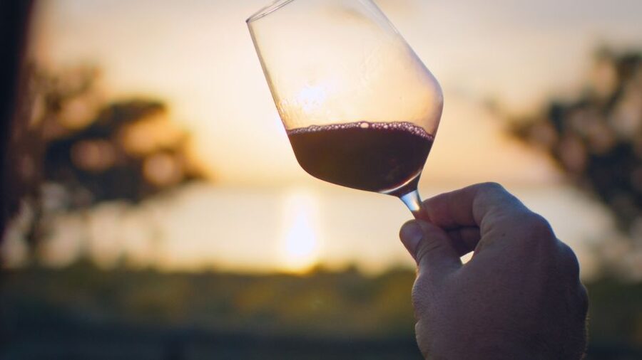 Torrevieja: Local Wine and Food Tasting Tour in La Mata Park - Starting at La Mata’s lagoons