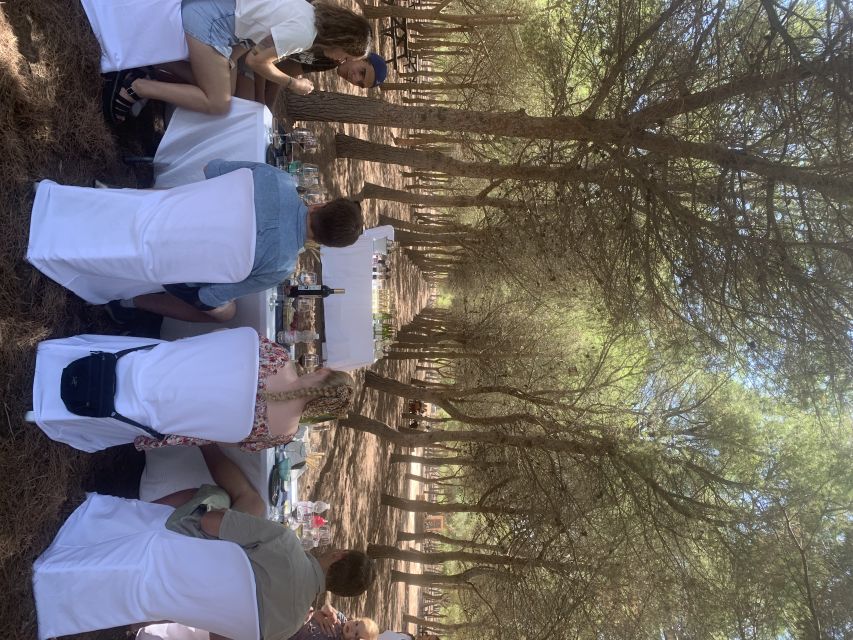 Torrevieja: Local Wine and Food Tasting Tour in La Mata Park - Following the vineyard route
