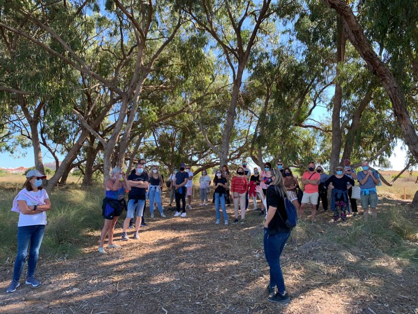 Torrevieja: Local Wine and Food Tasting Tour in La Mata Park - Three organic wines from Alicante