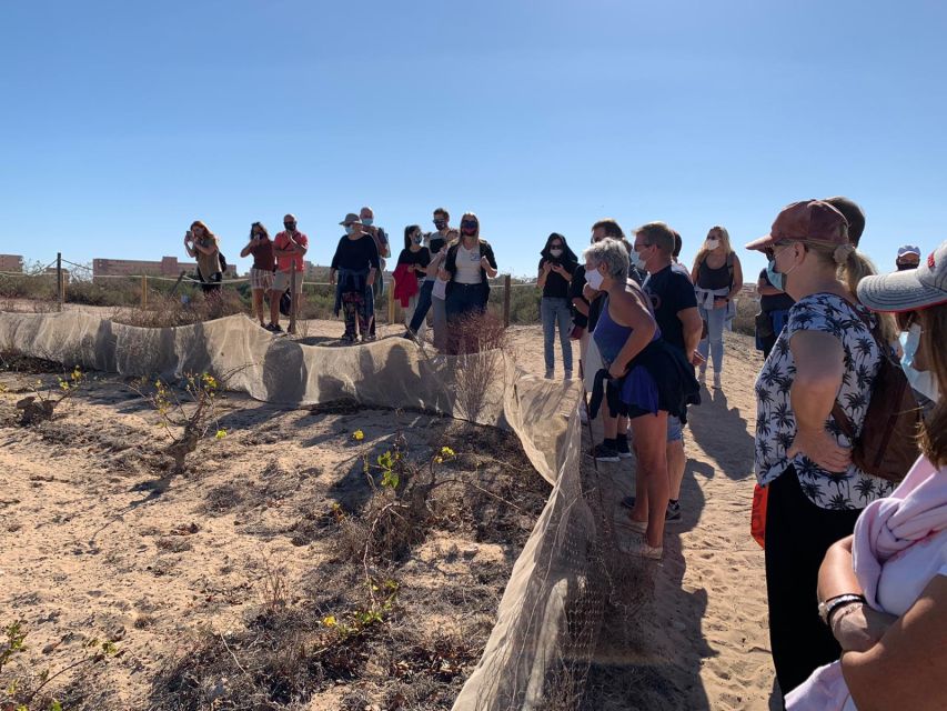 Torrevieja: Local Wine and Food Tasting Tour in La Mata Park - Pairing wine with olive oil, cheese, and tapas