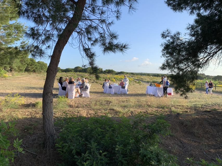 Torrevieja: Local Wine and Food Tasting Tour in La Mata Park - Is the $45 price fair?
