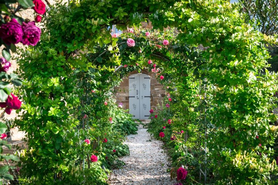 Total Immersion Wine Tour in Chianti - A Small Winery Above the Chianti Hills